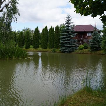 Meškių Dvarkiemis