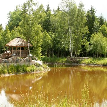 Meškių Dvarkiemis